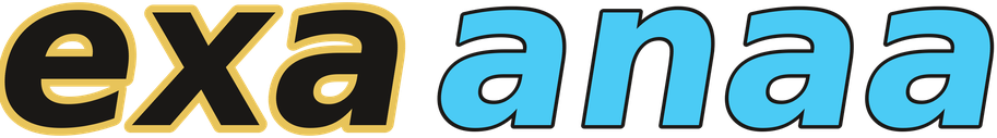 exaanaa logo